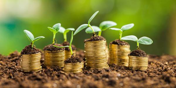 asesores-asesoramiento-asesorias-empresas-expertas-especialistas-estudio-economico-financiero-finanzas-personalizado-hipoteca-viviendas-gratis-gratuito-paiporta